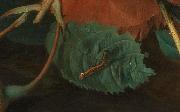 Jan van Huijsum Blumen und Fruchte oil painting reproduction